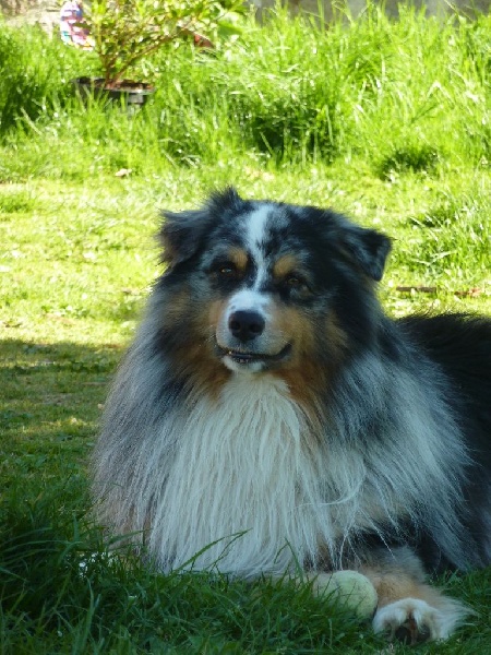 Falko du Domaine D'Arinella Bianca